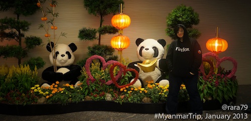 And these two cute pandas are celebrating the Chinese New Year :p